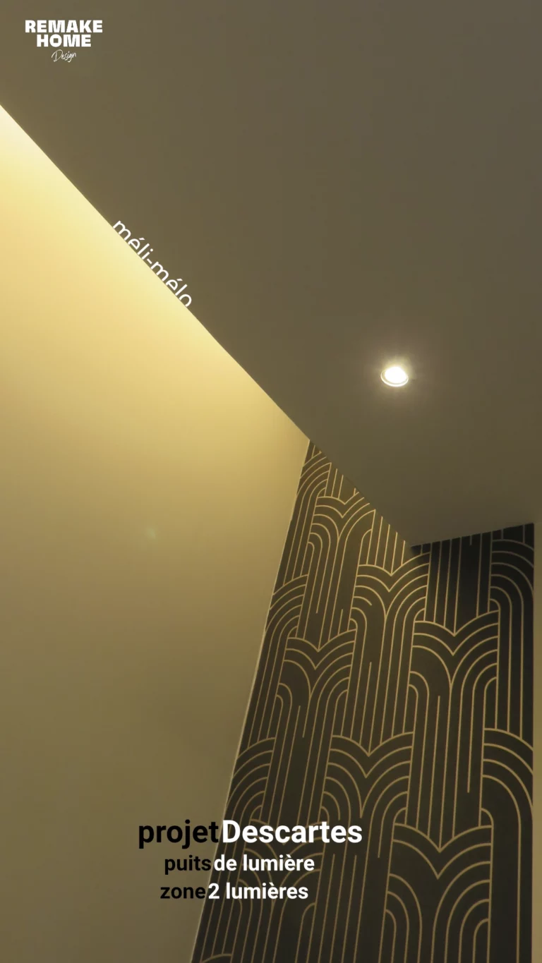 portfolio architecte d'intérieur Val de Marne en 10 images et plus - Paris - Île de France 6 puits de lumière - projet DESCARTES